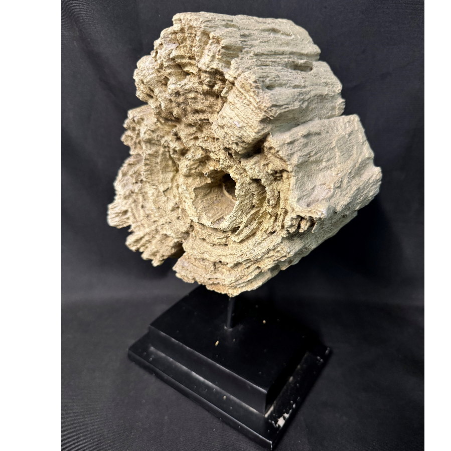 Resin Abstract Fossil Sculpture Design on a Black Metal Stand - VIN1072Q