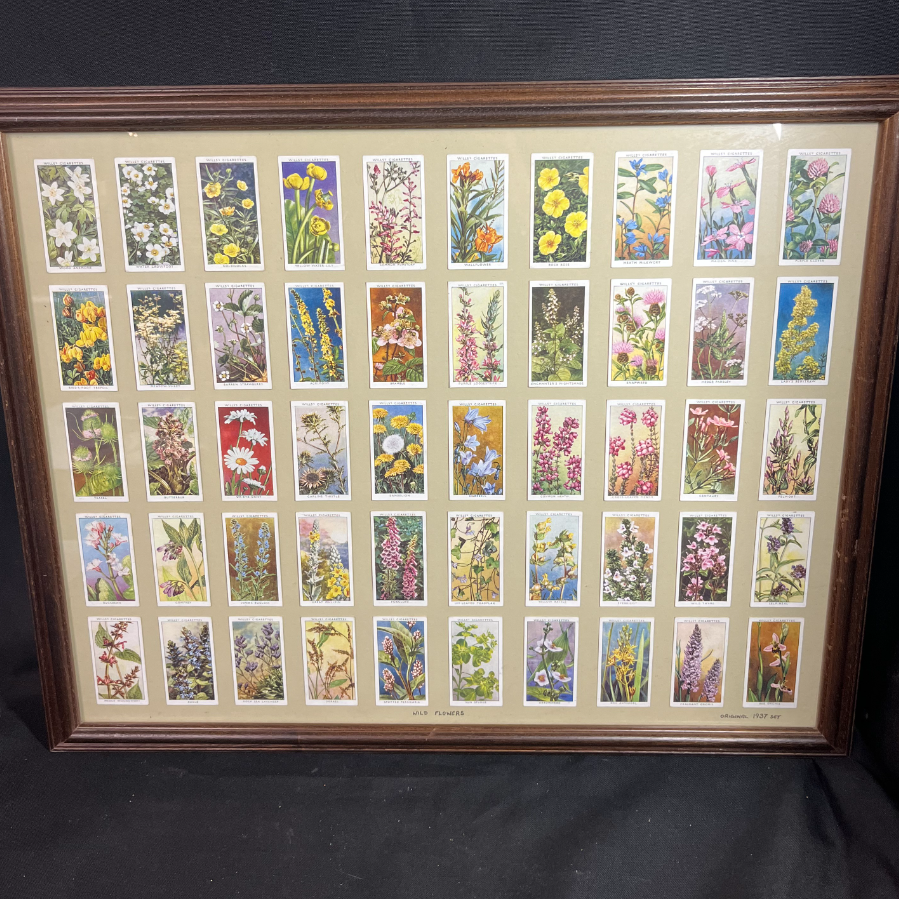 Will's Cigarettes 'Wild Flowers' 1937 set - VIN1082Y